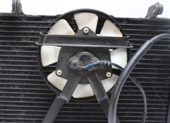 Radiateur Yamaha FZR 750 R OWO1