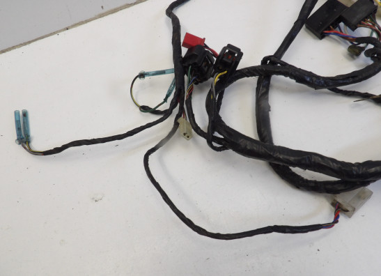 Kabelboom Kawasaki ZX 6 R