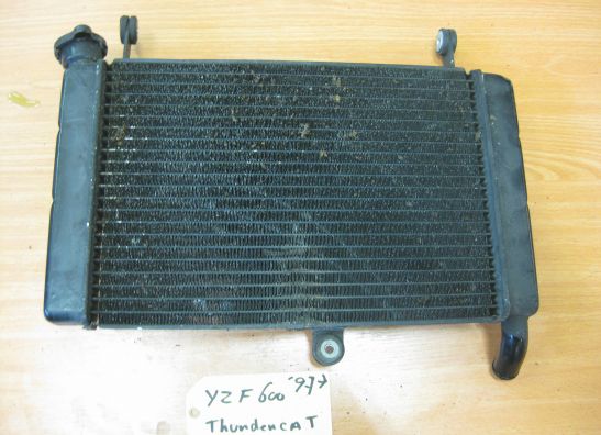 Kuhler Yamaha YZF 600 Thundercat