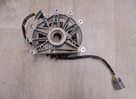 Dynamo BMW R 1250 GS