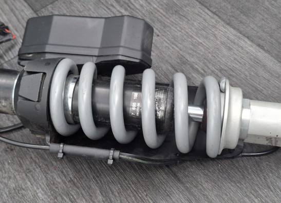 Stossdampfer hinten BMW R 1200 R