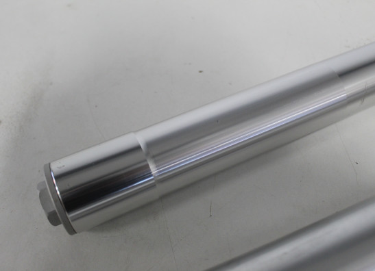 Voorpoten Benelli BN302