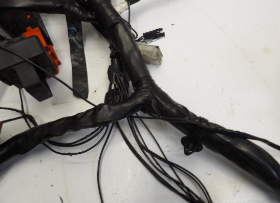 Kabelboom Honda CBF 1000