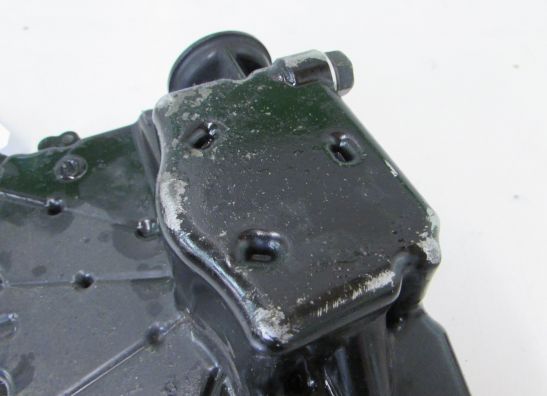 Carterpan Kawasaki Z 1000