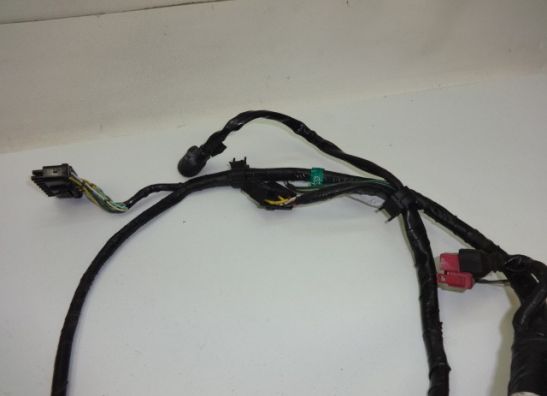 Kabelbaum Honda CBR 1000 F