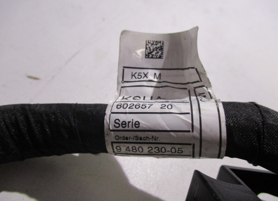 Kabelboom BMW R 1250 RS