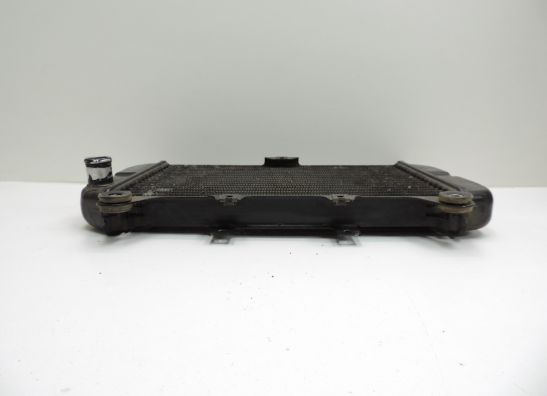 Radiator Kawasaki ZZR 600