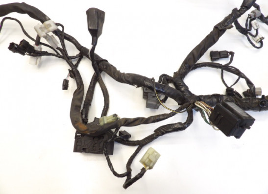 Wire Harness Kawasaki ER 6