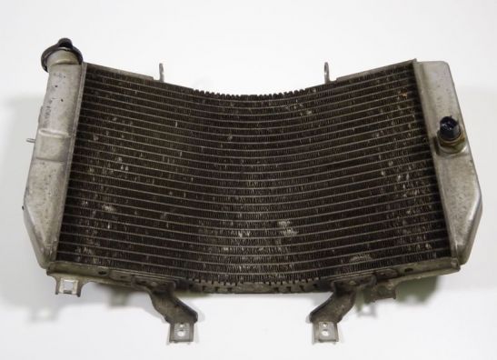 Radiator Suzuki GSX R 1000