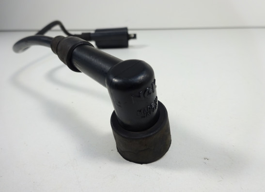 Bobine Ducati monster 600