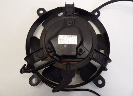 Fan Honda VT 600