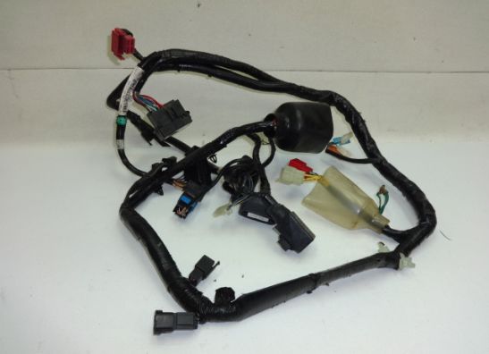 Kabelbaum Honda CBR 600 F