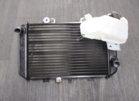 Radiateur BMW G 310 GS