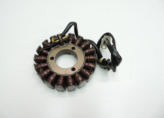Dynamo Kawasaki ER 5