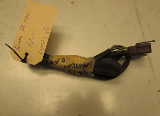 Wire harness front Honda Goldwing GL
