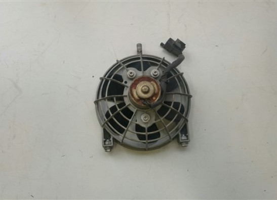 Fan Aprilia RSV 1000