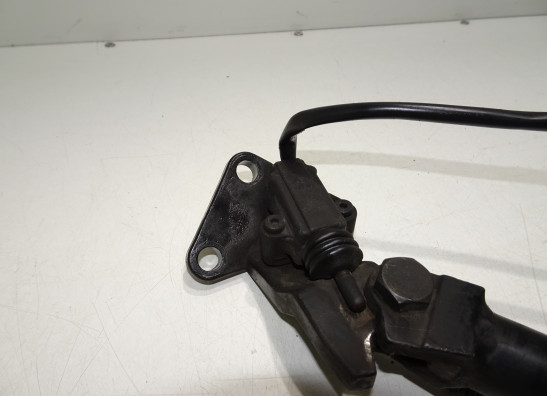 Standaard Triumph Tiger 900