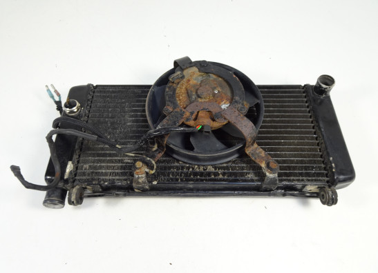 Radiateur Honda CBF 600