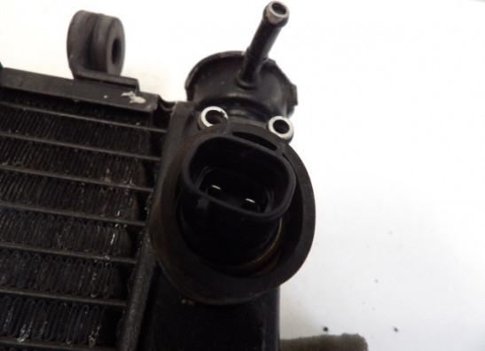 Radiateur Yamaha YZF R6