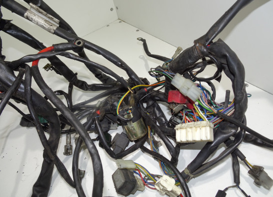 Wire Harness Aprilia Tuono 1000