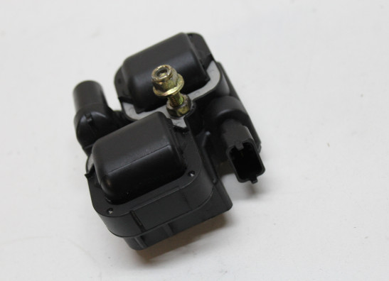 Bobine Can-am Spyder