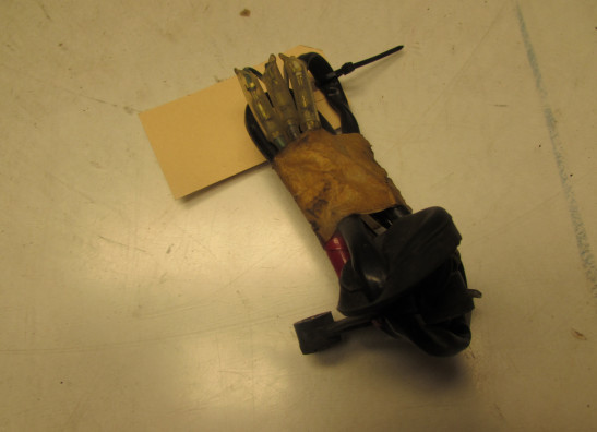 Kabelboom voor Honda Goldwing GL