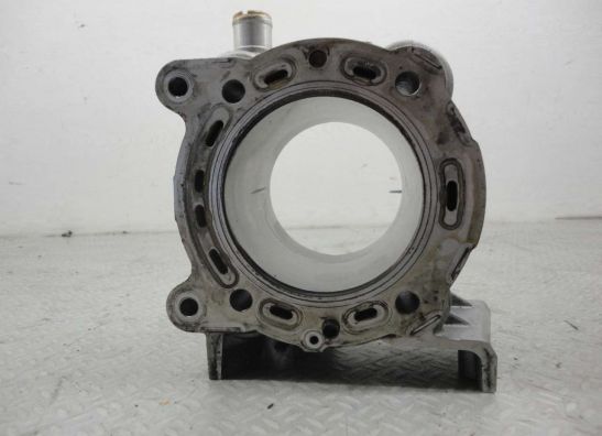 Cilinderblok Ducati 848