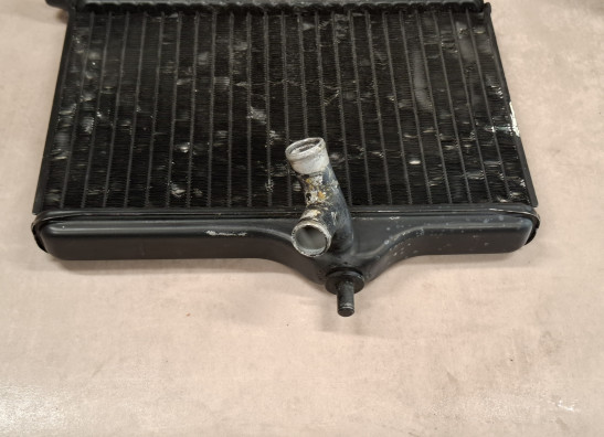 Radiator Yamaha RD 350 LC