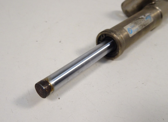 Steering damper BMW F 800 S - ST