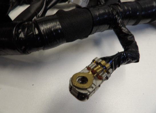 Wire Harness Kawasaki ZX 10 R