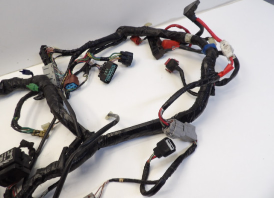 Kabelboom Honda ST 1300 Pan European