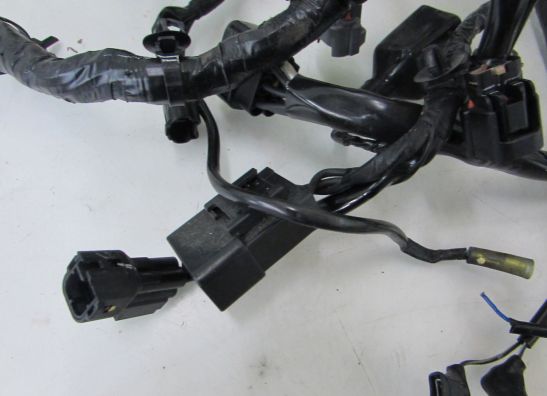 Kabelbaum Kawasaki Z 300