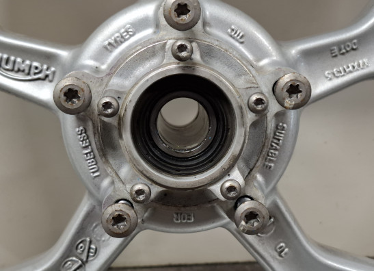 Voorvelg Triumph Tiger 1050