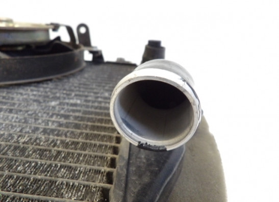 Radiateur Yamaha YZF R6