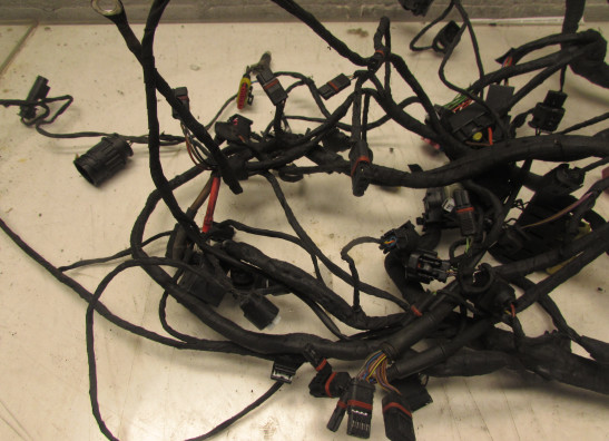 Kabelboom BMW C 650 GT