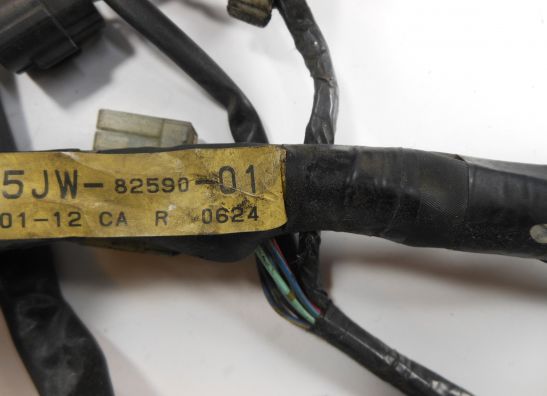 Wire Harness Yamaha FJR 1300