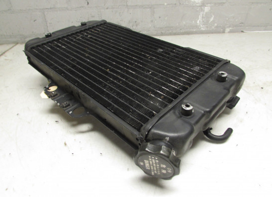 Radiator Suzuki Madura 1200