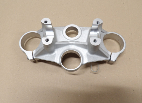 Kroonplaat BMW R 1250 R 2019-2020