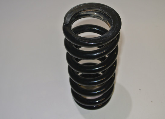 Rear cushion BMW R 1200 GS LC