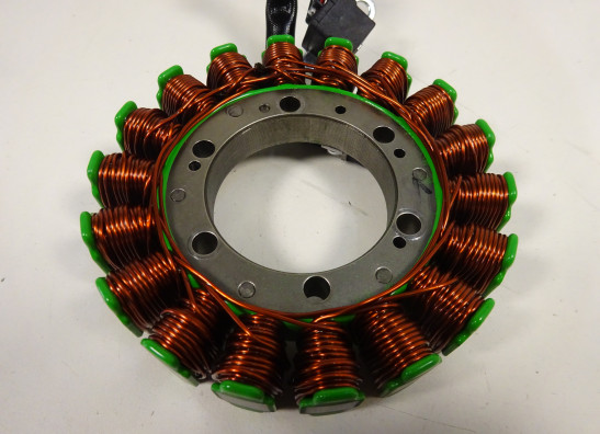 Dynamo Aprilia Tuono 660