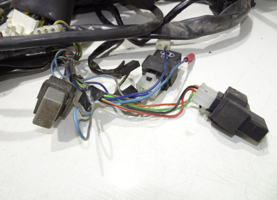 Wire Harness Aprilia RSV 1000
