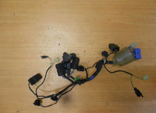 Wire harness front Honda VFR 800 I
