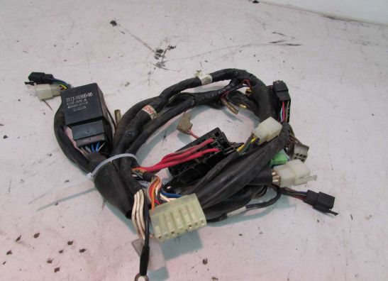 Wire Harness Yamaha XJ 600 Diversion