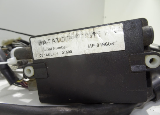 Wire Harness Aprilia Falco