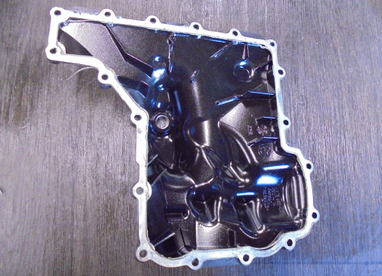 Carterpan BMW K 1300 S