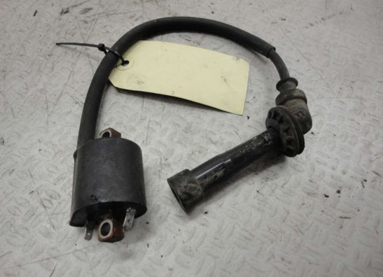 Bobine Suzuki SV 1000