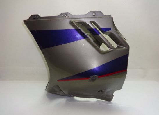 Cowl under Suzuki GSX F 1100