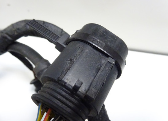 Kabelboom BMW K 1200 R 