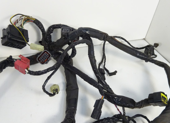 Wire Harness Kawasaki ER 6