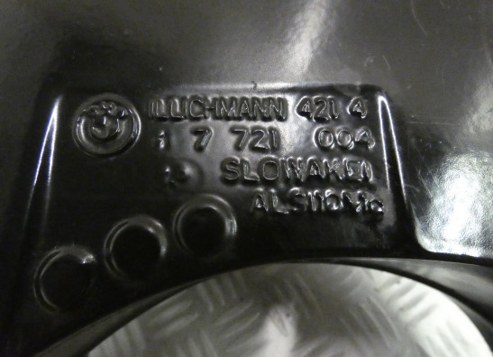 Hinterradschwinge BMW F 800 R